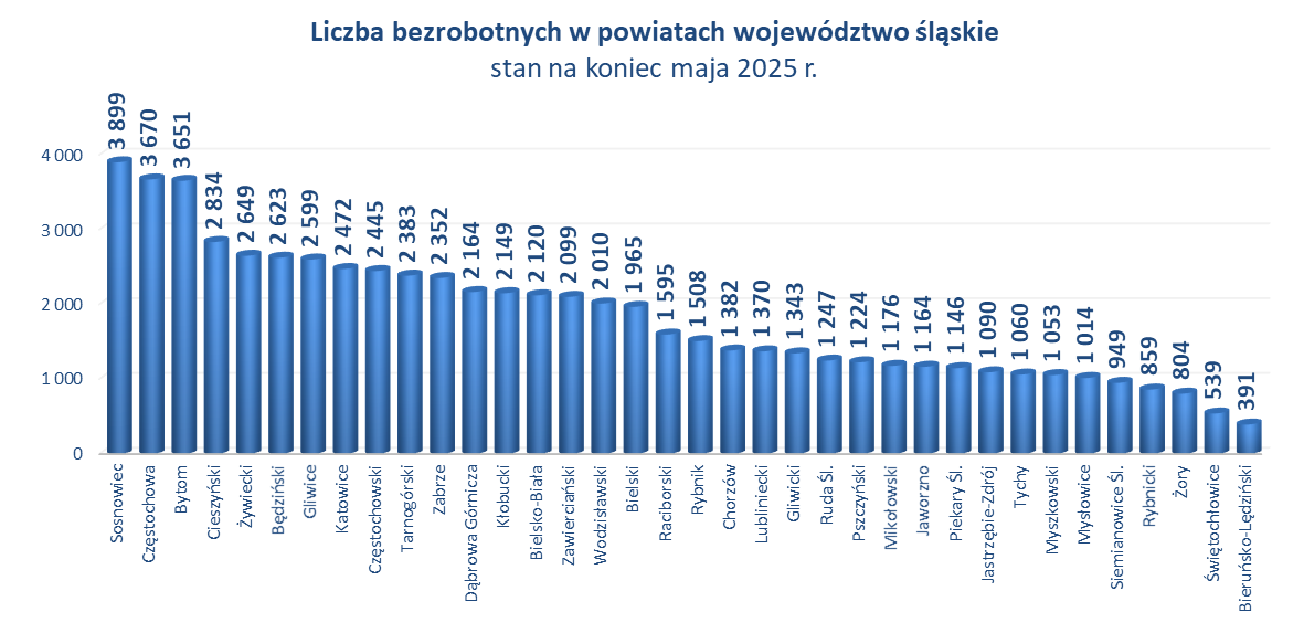 Wykres słupkowy - liczba bezrobotnych w powiatach wg stanu na koniec lutego 2024 r.
Najwięcej osób bezrobotnych notowano w PUP w Sosnowcu (4 156 osób), a najmniej w powiecie bieruńsko-lędzińskim (396 osób).