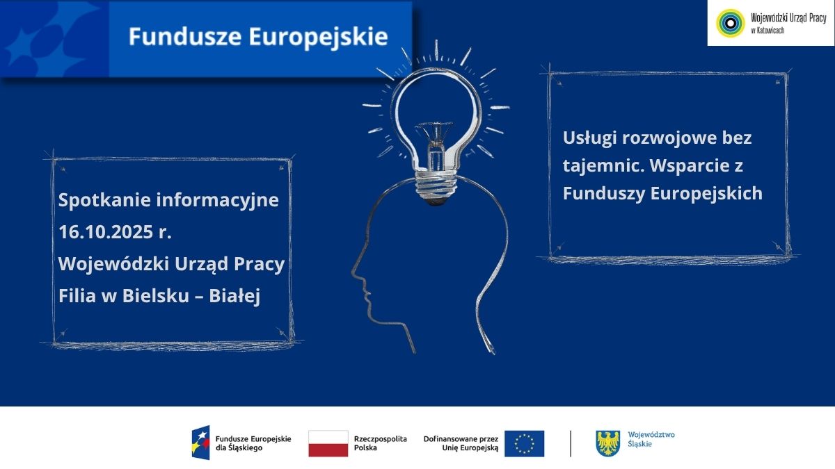 Zdjęcie artykułu Usługi rozwojowe bez tajemnic. Wsparcie z Funduszy Europejskich