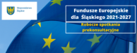 Obrazek dla: Robocze spotkania prekonsultacyjne programu Fundusze Europejskie dla Śląskiego 2021-2027