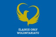 Obrazek dla: Konkurs „Śląskie Orły Wolontariatu-Wolontariusz Roku 2023”